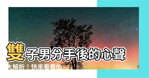 雙子男 分手|雙子男分手後冷淡：如何解讀他的行為與心情？ – 星語軌跡 讓星。